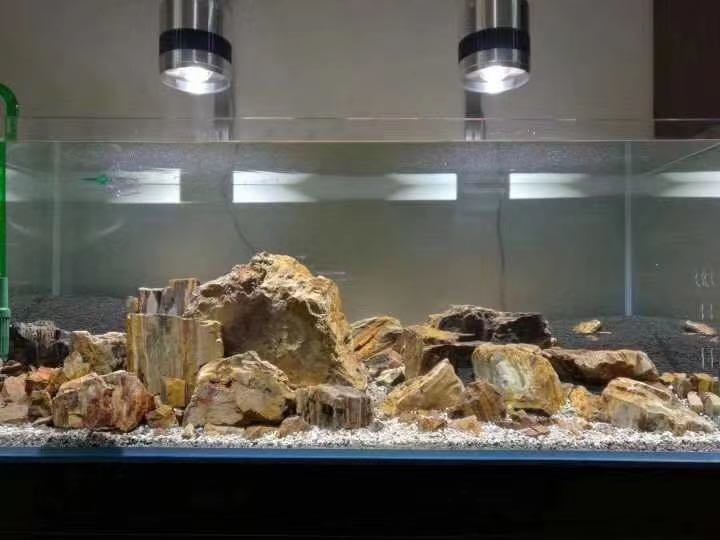 led light for planted aquarium