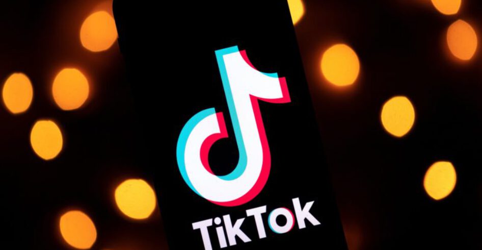 tiktok video downloader